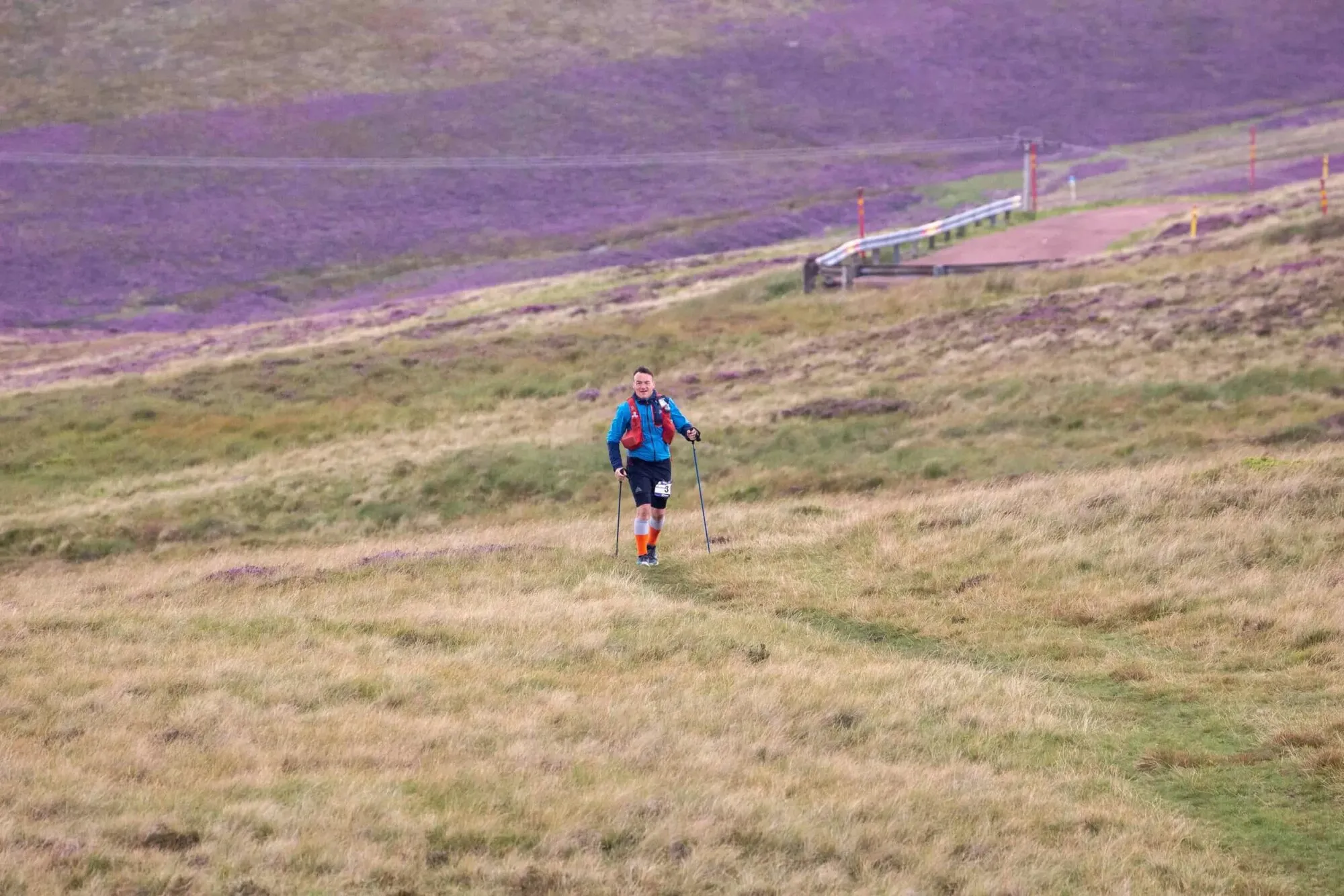 A runner with poles on a path across a moor of purple heather