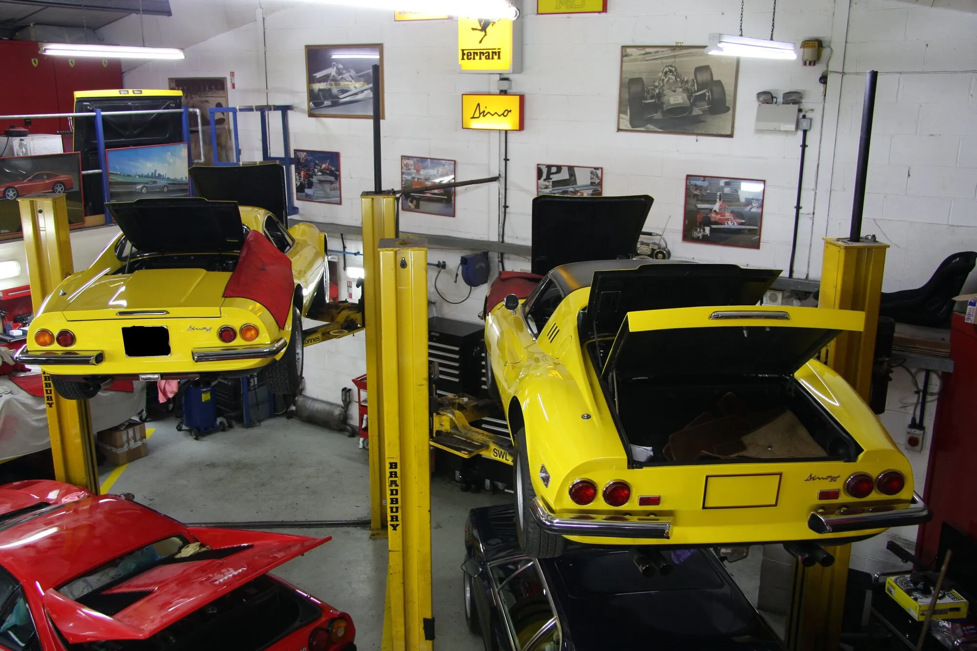 Two yellow Ferraris on lifts in the workshop, under Ferrari and Dino signs
