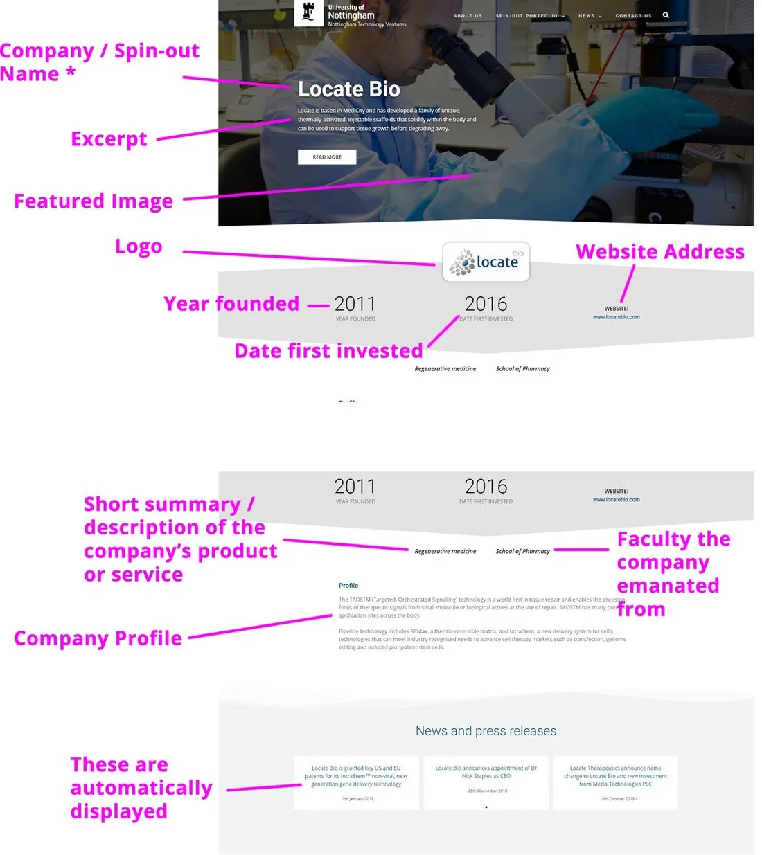 A company page from our 2019 manual, labelled in pink: the company’s name, excerpt, featured image, logo, year founded, date first invested, website address, summary, faculty, profile, and the news that appears on the page automatically