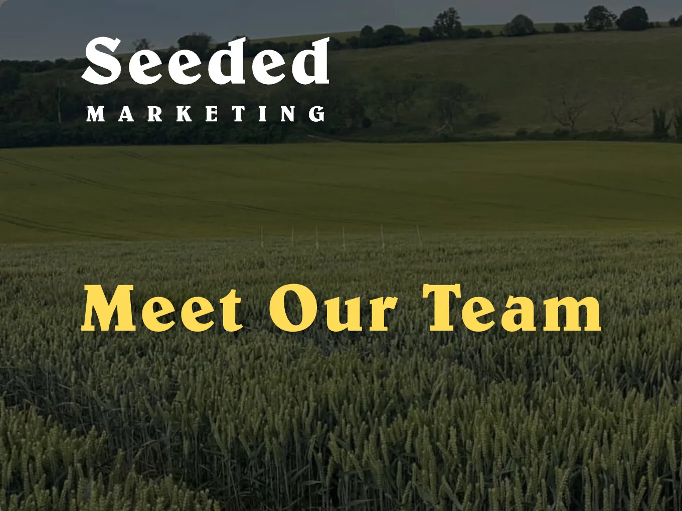 The Meet Our Team banner: the white logo and the heading in yellow Belwe over a darkened photo of a wheat field