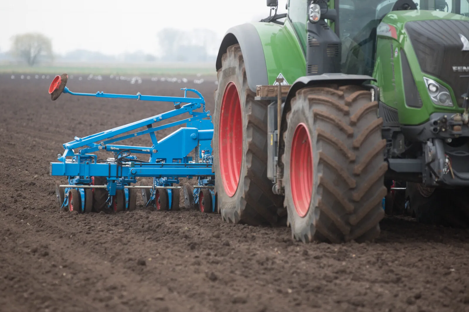A green Fendt tractor with a blue precision drill sowing sugar beet