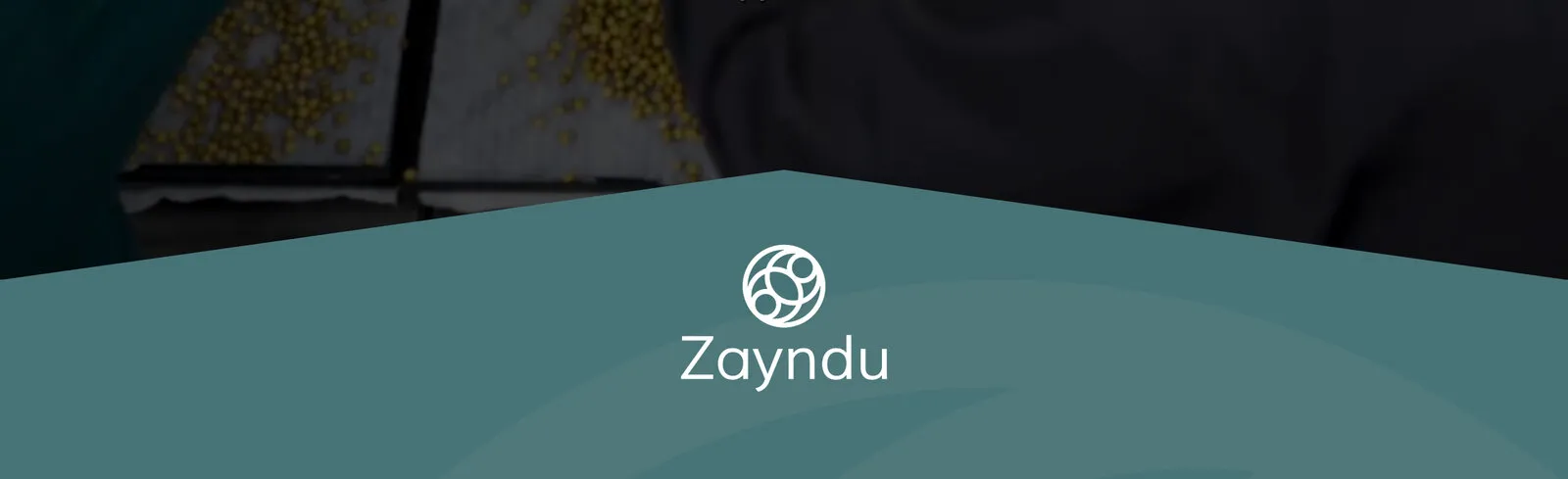 The bottom of the home page’s opening film meets a teal peak shaped like a glasshouse roof, with Zayndu’s white logo underneath
