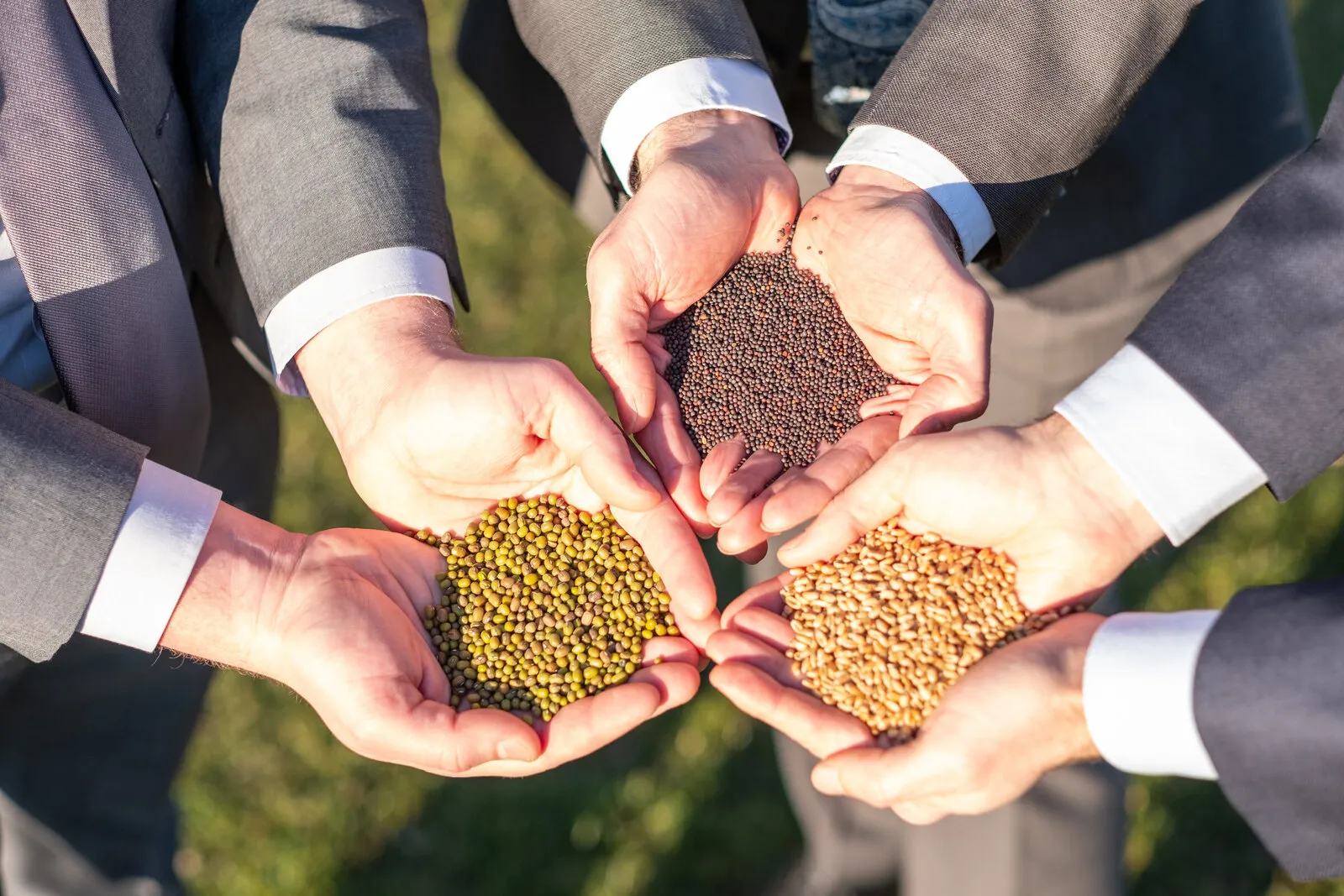 Four pairs of cupped hands, each holding a different kind of seed